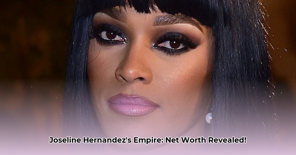 how-much-is-joseline-hernandez-worth